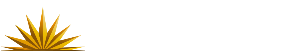 logo-cetu-1